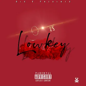 Lowkey by Big V