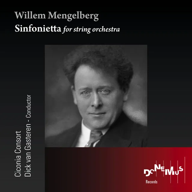 Sinfonietta for String Orchestra: III. Andante