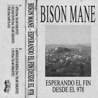 ESPERANDO EL FIN DESDE EL 978 by Bison Mane