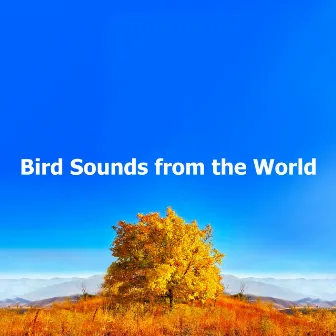 Bird Sounds from the World by Nature Bird Sounds