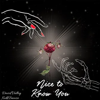 Nice to Know You by David Valley