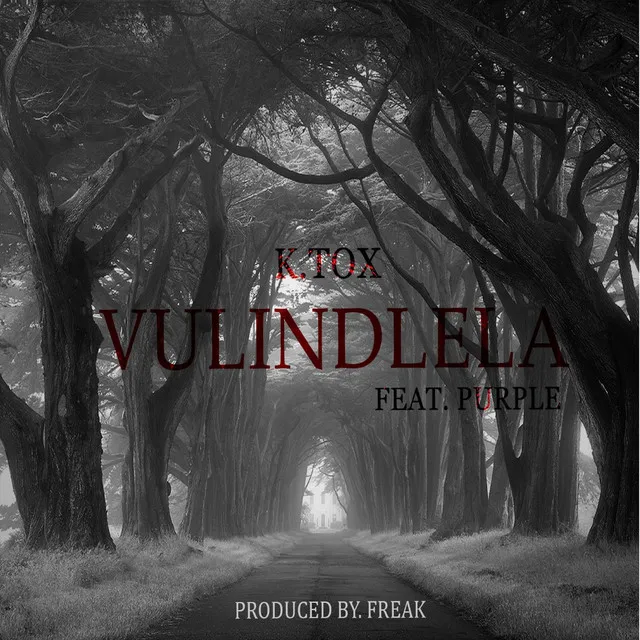 Vulindlela