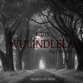 Vulindlela by K.TOX