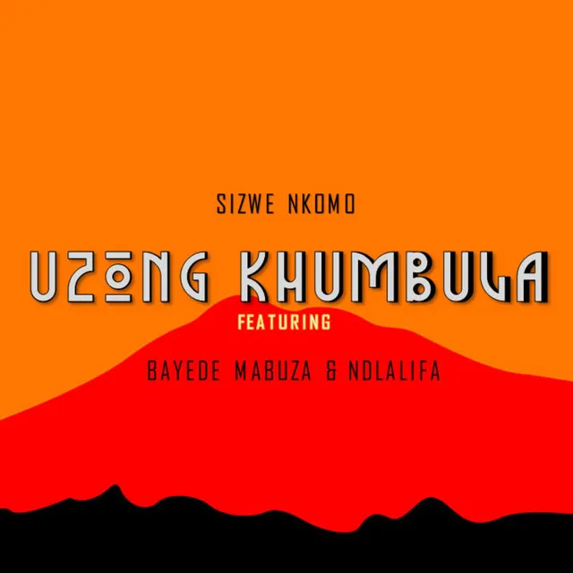 Sizwe Nkomo