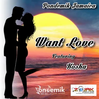 Want Love (feat. Kosha) - Single by Pondemik Jamaica