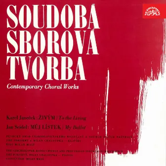 Janeček, Seidel: Contemporary Choral Works by Jiří Pokorný