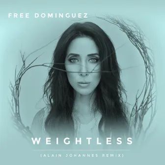 Weightless (Alain Johannes Remix) by Free Dominguez