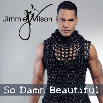 So Damn Beautiful by Jimmie Wilson