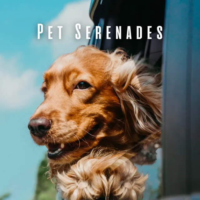 Serenade of Coffee Shop Harmony for Pets