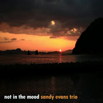 Not in the Mood by Sandy Evans