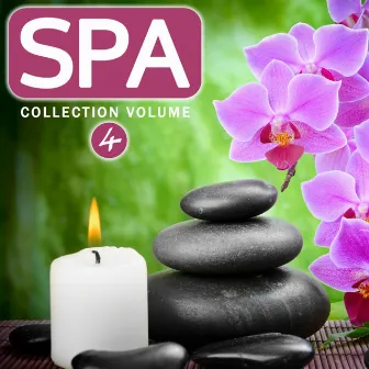 Spa Collection, Vol. 4 (Relax, Healing and Well Being Your Life with Spa Treatments) by Zenitude Specialist