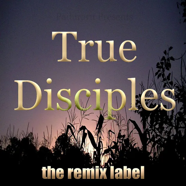 True Disciples - Organic Deephouse Mix