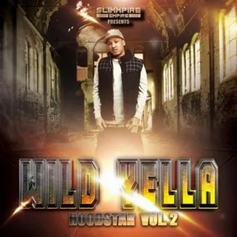 Hood Star Vol. 2 by Wild Yella