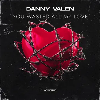 You Wasted All My Love by Danny Valen