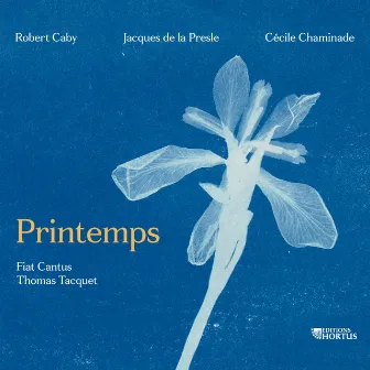 Printemps by Thomas Tacquet