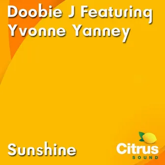 Sunshine by Yvonne Yanney