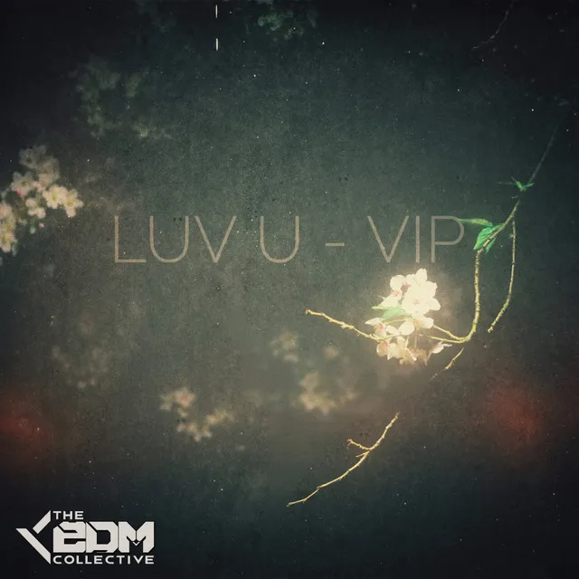 Luv U - VIP Mix