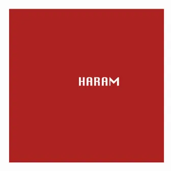 Haram (the hero we all need) by keybumps