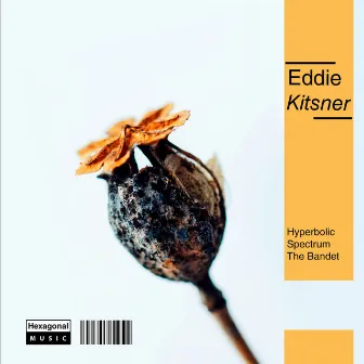 Hyperbolic by Eddie Kitsner