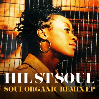 Soul Organic by Hil St. Soul