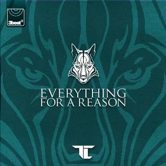 Everything For A Reason by TC