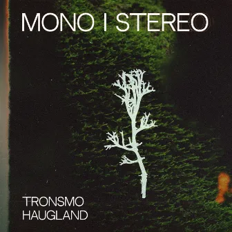 MONO I STEREO by Heidi Tronsmo