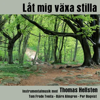 Låt mig växa stilla by Thomas Hellsten