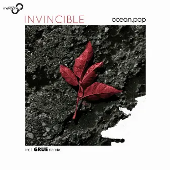 Invincible by Ocean.Pop