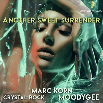 Another Sweet Surrender by Crystal Rock