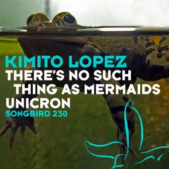 There's No Such Things As Mermaids by Kimito Lopez