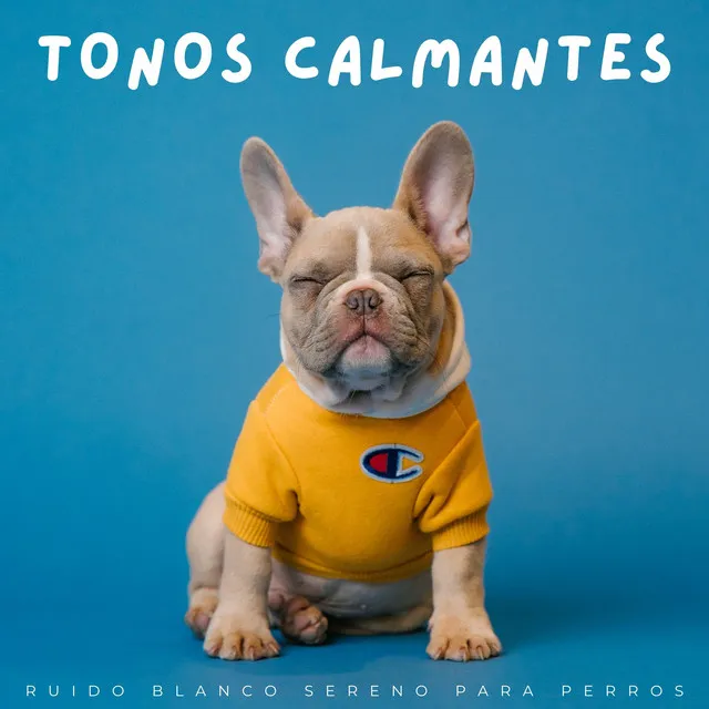 Tonos Calmantes: Ruido Blanco Sereno Para Perros