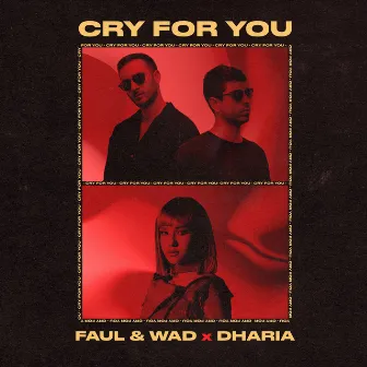 Cry For You by Faul & Wad