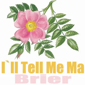 I'll Tell Me Ma by Brier