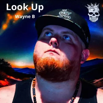 Look Up by Wayne B