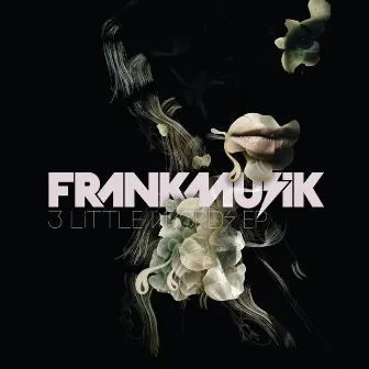 3 Little Words by Frankmusik