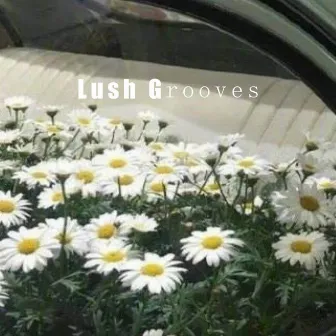 Lush Grooves by James Cooper