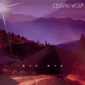 Bye Bye by Destani Wolf