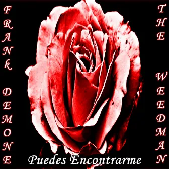 Puedes Encontrarme by Frank Demone