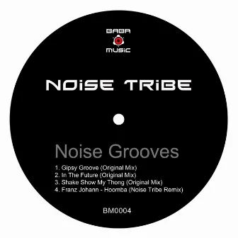 Noise Grooves by Noise Tribe