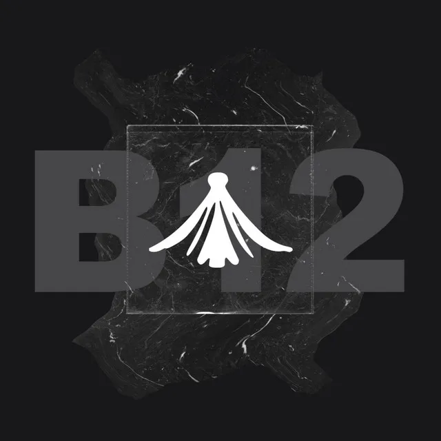 B12