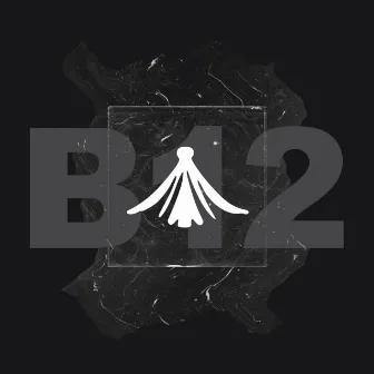 B12 by Rikko