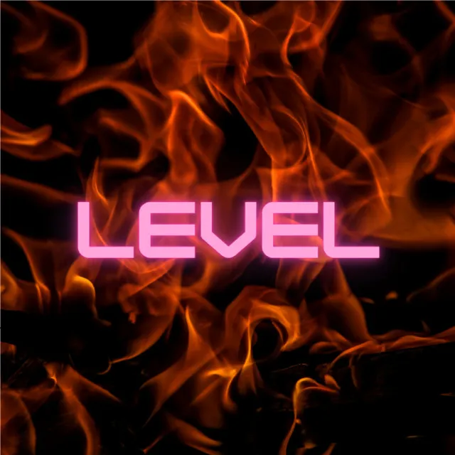 LEVEL