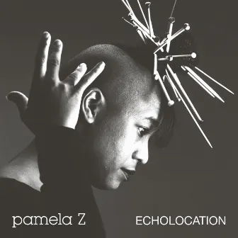 Echolocation by Pamela Z