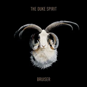 Bruiser by The Duke Spirit