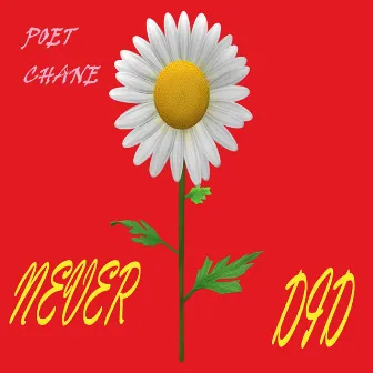 NEVER DID by poet chane