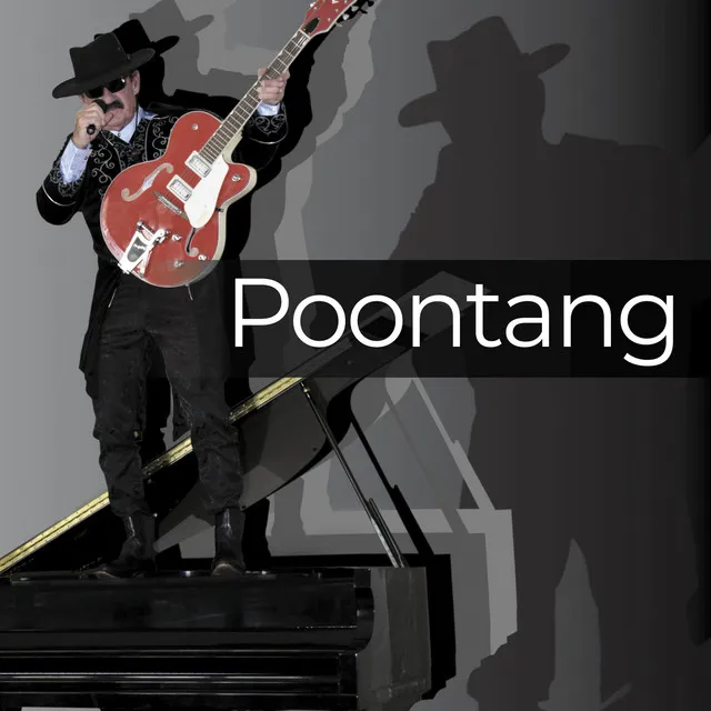 Poontang