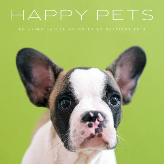 Happy Pets: Relaxing Nature Melodies To Destress Pets