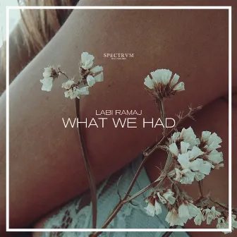 What We Had by Labi Ramaj