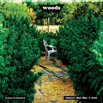 Woods by Mani Strings