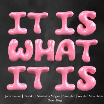 It Is What It Is by Samantha Mogwe